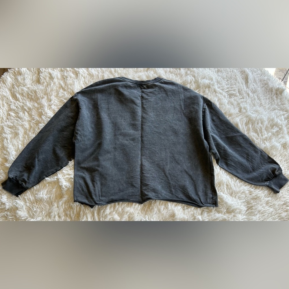 Zara | Charcoal Gray Pearl Studded Crewneck Sweatshirt - Picture 5 of 5
